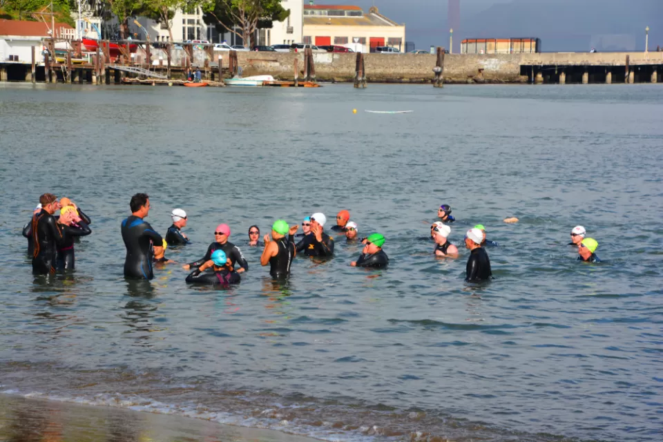 A group of wetsuit-clad swimmers gathers to talk in shallow water near the shore of the San Francisco Bay.
